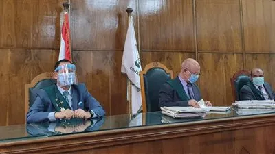 بعد عودتها للعمل.. 2225 حكما باتا من المحكمة الإدارية العليا