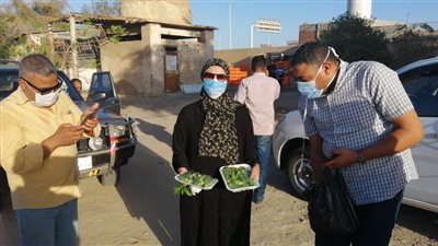 طرح خضراوات الصوب الزراعية بأسعار مخفضة في سفاجا (صور)