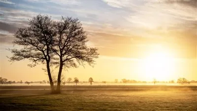 بيان عاجل من الأرصاد بشأن طقس اليوم