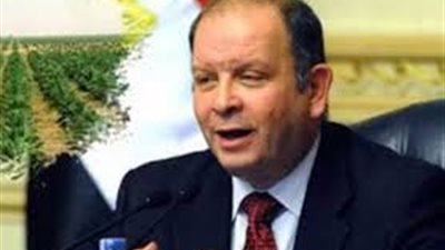 تفاصيل الخريطة الزراعية في مصر خلال 6 سنوات (فيديو)