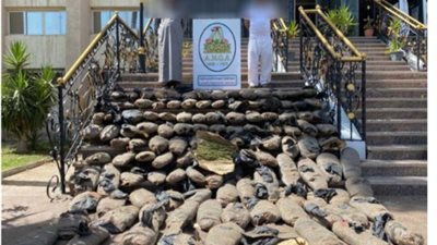 ضبط عاطلين بحوزتهما 450 كيلو بانجو في الإسماعلية