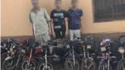 بعد 49 واقعة سرقة.. سقوط 8 تشكيلات عصابية في الغربية