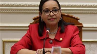 برلمانية تطالب بالتصويت الإلكتروني في انتخابات مجلسي النواب والشيوخ