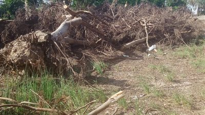 تعقيم وتطهير شوارع الأقصر لمجابهة كورونا (صور)