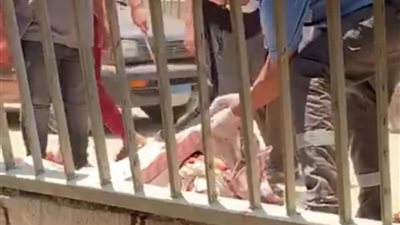 مصرع سائق دراجة نارية في حادث تصادم بالحوامدية