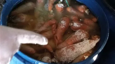 غلق مصنع مخللات بداخله 21 طن مخلل فاسد بالدقهلية (صور)