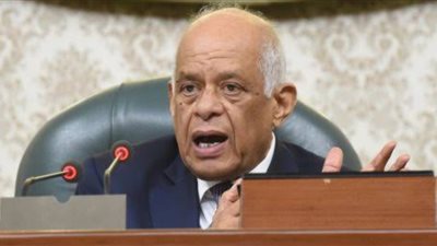 البرلمان يوافق على عدم جواز الجمع بين عضوية مجلسي النواب والشيوخ