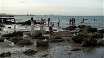 تايلاند تنهي حظر التجول بعد مرور 21 يومًا دون إصابات محلية