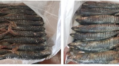 خلال 24 ساعة.. ضبط 1226 قضية تموينية متنوعة