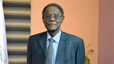 اكتشاف مقبرة جماعية لمجندين في السودان