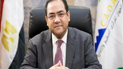 التنظيم والإدارة يكشف تفاصيل ترقية 250 ألف موظف حكومي (فيديو)