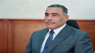 محافظ مطروح يكشف تفاصيل عودة المصريين المحتجزين في ليبيا (فيديو)