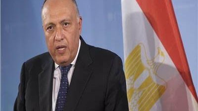 شكري يشارك في مؤتمر تعزيز التعاون الدولي للحزام والطريق لمكافحة كورونا