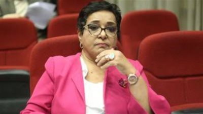 النائبة أنيسة حسونة: مصر لن تتنازل عن حقها في مياه النيل