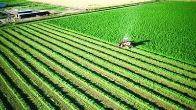 وزارة التخطيط : تخصيص استثمارات بقيمة 34 مليار جنيه لقطاع الزراعة والري العام المالي القادم