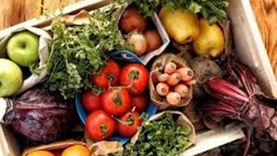 إنفوجرافيك.. 10 أطعمة للحفاظ على تركيز طلاب الثانوية العامة والأزهرية