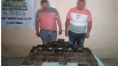 الداخلية تواصل ضرباتها الموجعة لتجار المخدرات