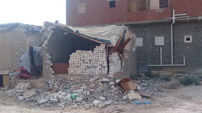 إزالة التعديات المقامة على أملاك الدولة في برج العرب (صور)