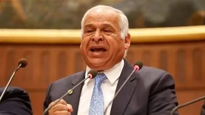 برلماني يشيد بتوفير فرص عمل للمصريين العائدين من ليبيا