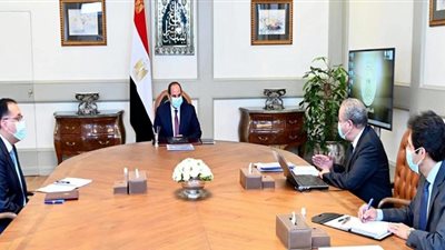 الرئيس السيسي يوجّه بتحديث شركتي 