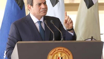 ردود الفعل الدولية على خطاب السيسي بشأن ليبيا 