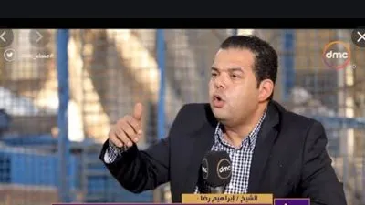 داعية: السلفيون وراء وجود الشوائب في التدين المصري