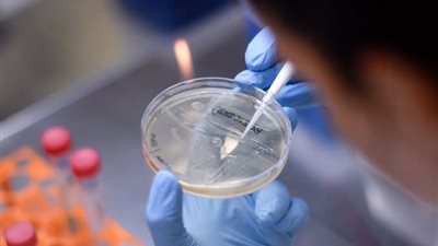 أحدهم تجرى في الإمارات.. تجارب لقاحات الصين لعلاج كورونا