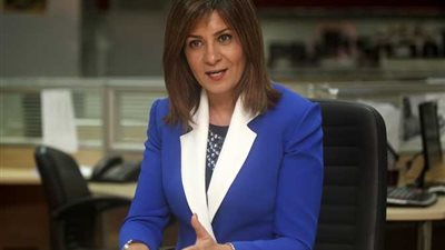 تحرك جديد لوزارة الهجرة في قضية سد النهضة (فيديو)