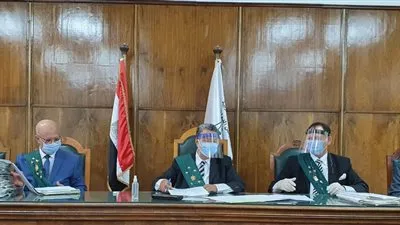 حيثيات معاقبة أستاذ جامعي وصف الشعب المصري بألفاظ غير لائقة 