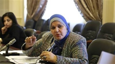 برلمانية تشيد بدور وزارة الهجرة في الحفاظ على حقوق مصر بمياه النيل
