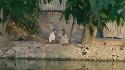 مسلسل ليه لا الحلقه 12 | ننشر مواعيد عرض مسلسل امينة خليل الجديد (ليه لا) الحلقة الثانية عشر عبر منصة شاهد 