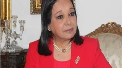 برلمانية: الدبلوماسية المصرية نجحت في حماية حقوقنا في مياه النيل