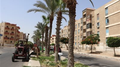 صيانة الأشجار والمسطحات الخضراء بمدينتى السادات ودمياط الجديدة