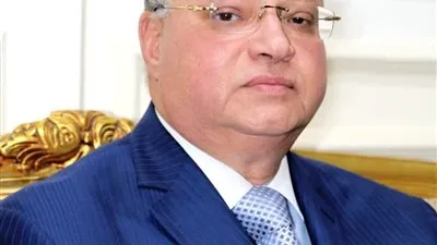  قرار جديد من محافظ القاهرة بشأن استنزال الأراضي الزراعية
