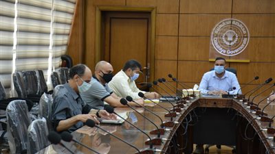 محافظ الدقهلية: مشروع 