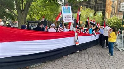 كيف تحتفل الجالية المصرية بالخارج بثورة 30 يونيو؟