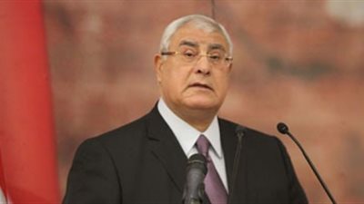 عدلي منصور: مشكلات الدولة المصرية كانت تدار بالمسكنات قبل ثورة يونيو