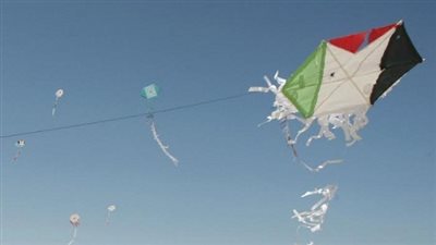 برلماني يحذر من الطائرات الورقية: 