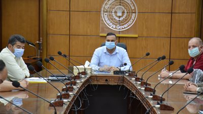 محافظ الدقهلية يهنئ الشعب بذكرى ثورة 30 يونيو