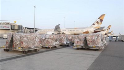 عالمياً.. الإمارات تقدم إمدادات طبية لأكثر من مليون عامل بالقطاع الصحي