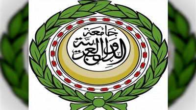 الجامعة العربية تعلق على جلسة مجلس الأمن بشأن سد النهضة (فيديو)