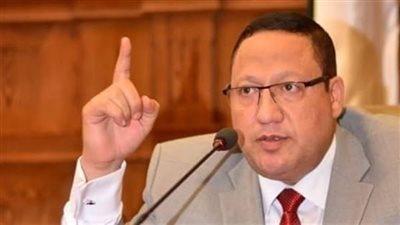 دفاع البرلمان: إنجازات السيسي تتحدث عن نفسها على أرض الواقع