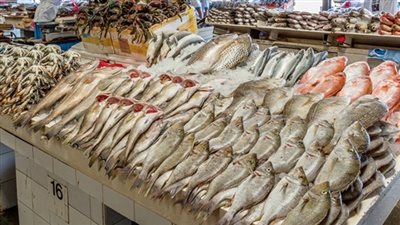 أسعار الأسماك اليوم الثلاثاء 30-6-2020 في سوق العبور