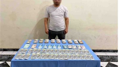 ضبط شخص لإتجاره بالنقد الأجنبي بالبحيرة
