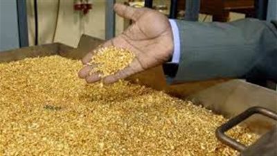 متحدث البترول يكشف كواليس اكتشاف منجم دهب ضخم يحمل مليون أوقية (فيديو)