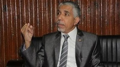 مساعد رئيس حزب مستقبل وطن: محمد مرسى أهان المنصب (فيديو)