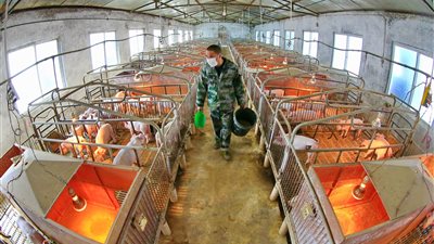 خبراء: الصين تعلمت درسًا من حجب المعلومات عن فيروس كورونا 