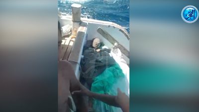 بالفيديو.. العثور على أجولة 