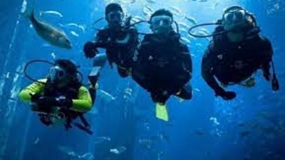 اعتماد أول كيان نقابي للغواصين بسيناء تابع للمهن السياحية