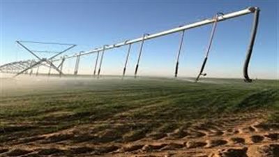 شروط التقدم على شراء قطعة أرض زراعية من الريف المصري (فيديو)